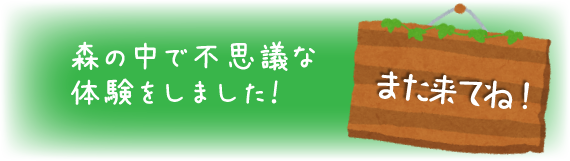 14年6月の行事ご報告 ひなぎく幼稚園