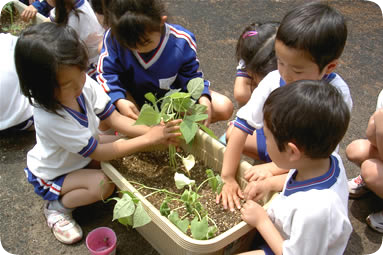 PICT2062.png