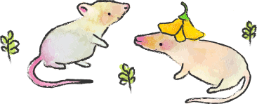 ネズミ